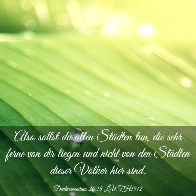 Picture 03 - Deuteronomium 20:15 LUTH1912 - Also sollst du allen Städten tun, die sehr ferne - Bible Verse Picture