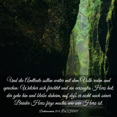 Picture 03 - Deuteronomium 20:8 LUTH1912 - Und die Amtleute sollen weiter mit dem Volk reden - Bible Verse Picture