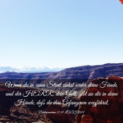 Picture 03 - Deuteronomium 21:10 LUTH1912 - Wenn du in einen Streit ziehst wider deine - Bible Verse Picture