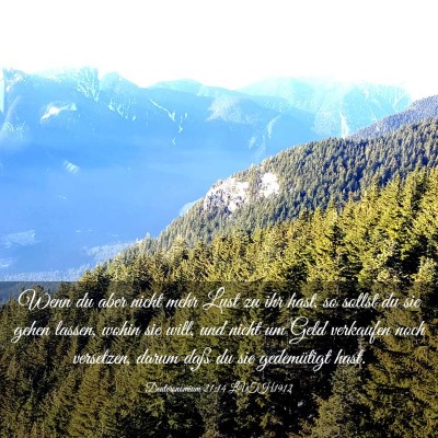 Picture 03 - Deuteronomium 21:14 LUTH1912 - Wenn du aber nicht mehr Lust zu ihr hast, so - Bible Verse Picture