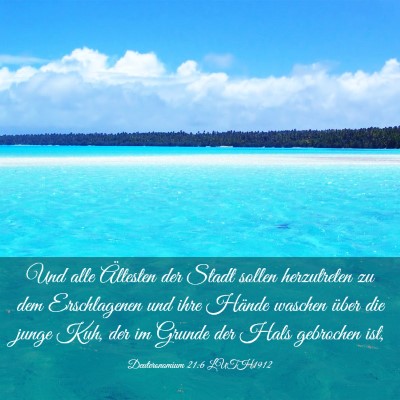 Picture 03 - Deuteronomium 21:6 LUTH1912 - Und alle Ältesten der Stadt sollen herzutreten - Bible Verse Picture
