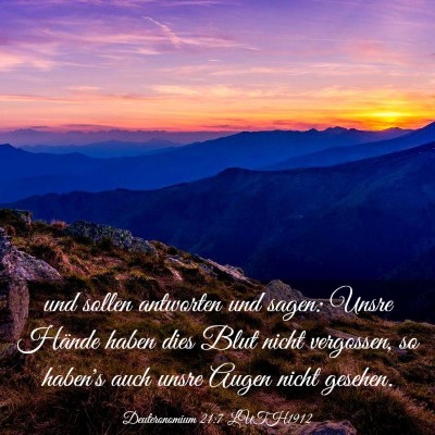 Picture 03 - Deuteronomium 21:7 LUTH1912 - und sollen antworten und sagen: Unsre Hände - Bible Verse Picture