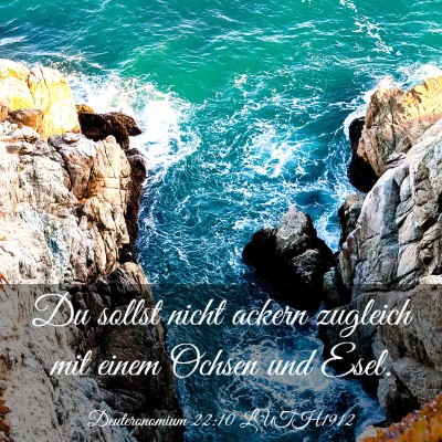 Picture 03 - Deuteronomium 22:10 LUTH1912 - Du sollst nicht ackern zugleich mit einem Ochsen - Bible Verse Picture
