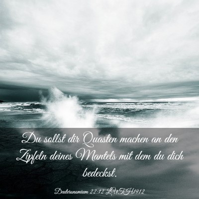 Picture 03 - Deuteronomium 22:12 LUTH1912 - Du sollst dir Quasten machen an den Zipfeln - Bible Verse Picture