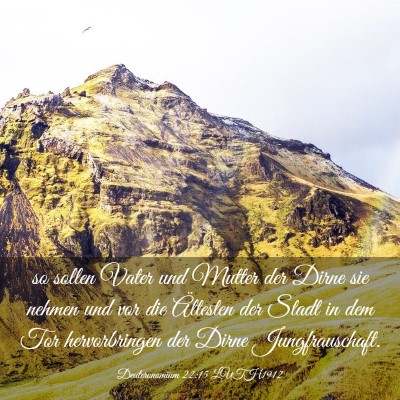 Picture 03 - Deuteronomium 22:15 LUTH1912 - so sollen Vater und Mutter der Dirne sie nehmen - Bible Verse Picture