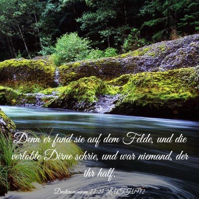Picture 03 - Deuteronomium 22:27 LUTH1912 - Denn er fand sie auf dem Felde, und die verlobte - Bible Verse Picture