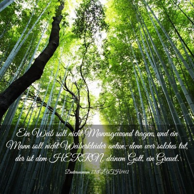 Picture 03 - Deuteronomium 22:5 LUTH1912 - Ein Weib soll nicht Mannsgewand tragen, und ein - Bible Verse Picture