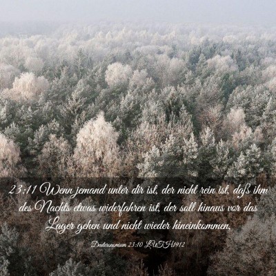 Picture 03 - Deuteronomium 23:10 LUTH1912 - 23:11 Wenn jemand unter dir ist, der nicht rein - Bible Verse Picture