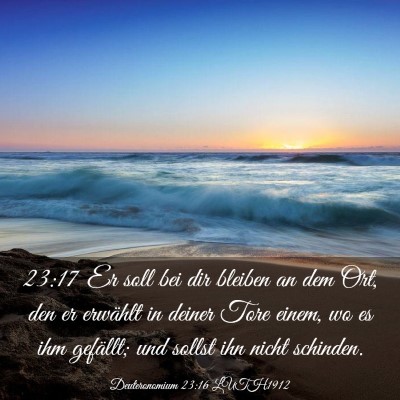 Picture 03 - Deuteronomium 23:16 LUTH1912 - 23:17 Er soll bei dir bleiben an dem Ort, den er - Bible Verse Picture
