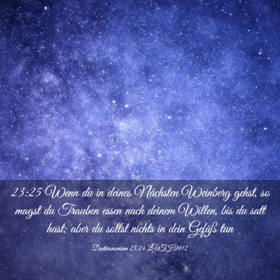 Picture 03 - Deuteronomium 23:24 LUTH1912 - 23:25 Wenn du in deines Nächsten Weinberg gehst, - Bible Verse Picture