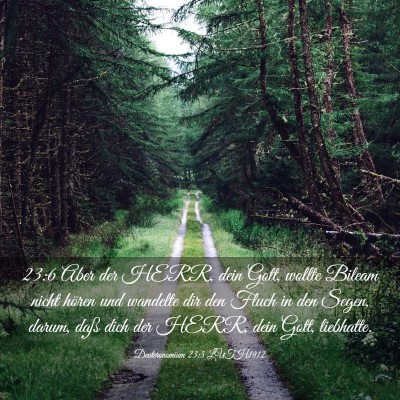 Picture 03 - Deuteronomium 23:5 LUTH1912 - 23:6 Aber der HERR, dein Gott, wollte Bileam - Bible Verse Picture