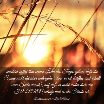 Picture 03 - Deuteronomium 24:15 LUTH1912 - sondern sollst ihm seinen Lohn des Tages geben, - Bible Verse Picture