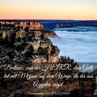 Picture 03 - Deuteronomium 24:9 LUTH1912 - Bedenke, was der HERR, dein Gott, tat mit Mirjam - Bible Verse Picture