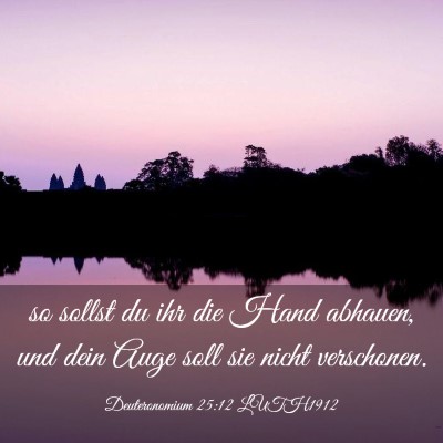 Picture 03 - Deuteronomium 25:12 LUTH1912 - so sollst du ihr die Hand abhauen, und dein Auge - Bible Verse Picture