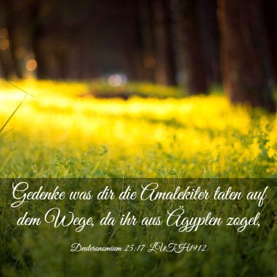 Picture 03 - Deuteronomium 25:17 LUTH1912 - Gedenke was dir die Amalekiter taten auf dem - Bible Verse Picture