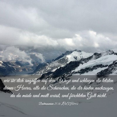 Picture 03 - Deuteronomium 25:18 LUTH1912 - wie sie dich angriffen auf dem Wege und schlugen - Bible Verse Picture