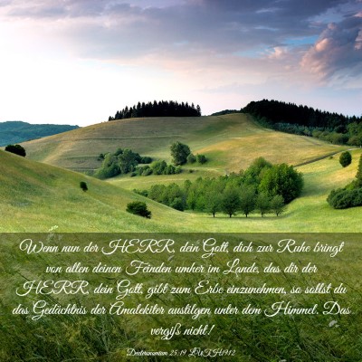 Picture 03 - Deuteronomium 25:19 LUTH1912 - Wenn nun der HERR, dein Gott, dich zur Ruhe - Bible Verse Picture