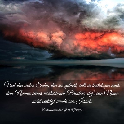 Picture 03 - Deuteronomium 25:6 LUTH1912 - Und den ersten Sohn, den sie gebiert, soll er - Bible Verse Picture