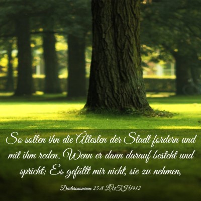 Picture 03 - Deuteronomium 25:8 LUTH1912 - So sollen ihn die Ältesten der Stadt fordern und - Bible Verse Picture