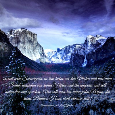 Picture 03 - Deuteronomium 25:9 LUTH1912 - so soll seine Schwägerin zu ihm treten vor den - Bible Verse Picture