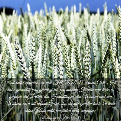 Picture 03 - Deuteronomium 26:13 LUTH1912 - Und sollst sprechen vor dem HERRN, deinem Gott: - Bible Verse Picture