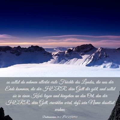 Picture 03 - Deuteronomium 26:2 LUTH1912 - so sollst du nehmen allerlei erste Früchte des - Bible Verse Picture