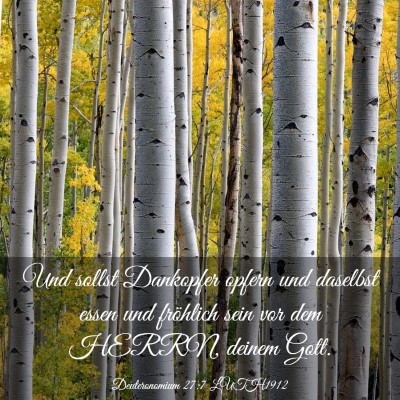 Picture 03 - Deuteronomium 27:7 LUTH1912 - Und sollst Dankopfer opfern und daselbst essen - Bible Verse Picture