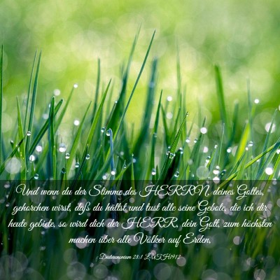 Picture 03 - Deuteronomium 28:1 LUTH1912 - Und wenn du der Stimme des HERRN, deines Gottes, - Bible Verse Picture