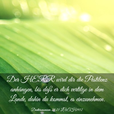 Picture 03 - Deuteronomium 28:21 LUTH1912 - Der HERR wird dir die Pestilenz anhängen, bis - Bible Verse Picture