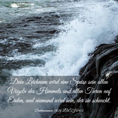 Picture 03 - Deuteronomium 28:26 LUTH1912 - Dein Leichnam wird eine Speise sein allen Vögeln - Bible Verse Picture