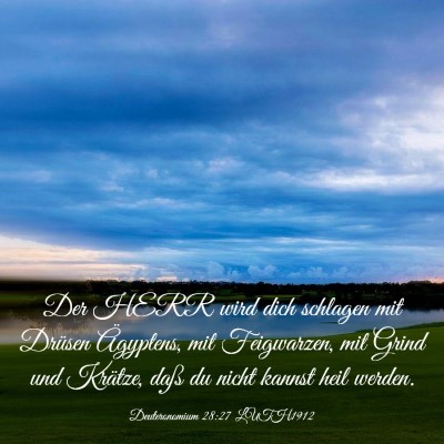 Picture 03 - Deuteronomium 28:27 LUTH1912 - Der HERR wird dich schlagen mit Drüsen - Bible Verse Picture