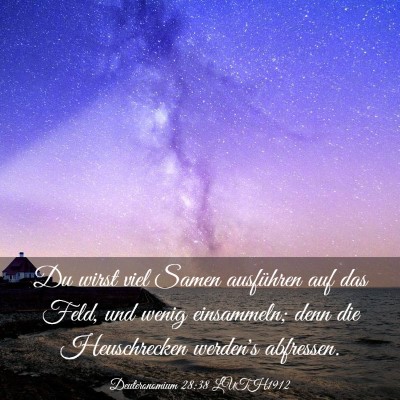 Picture 03 - Deuteronomium 28:38 LUTH1912 - Du wirst viel Samen ausführen auf das Feld, und - Bible Verse Picture