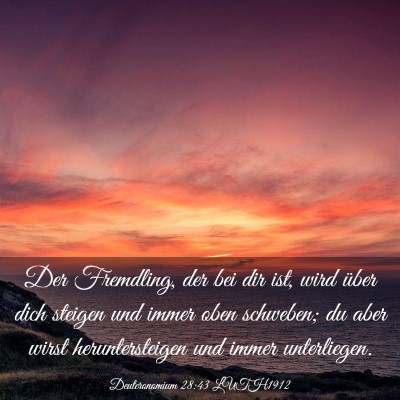 Picture 03 - Deuteronomium 28:43 LUTH1912 - Der Fremdling, der bei dir ist, wird über dich - Bible Verse Picture