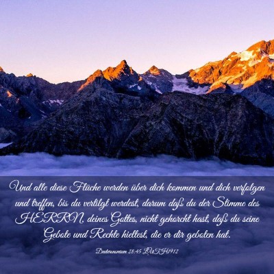 Picture 03 - Deuteronomium 28:45 LUTH1912 - Und alle diese Flüche werden über dich kommen - Bible Verse Picture