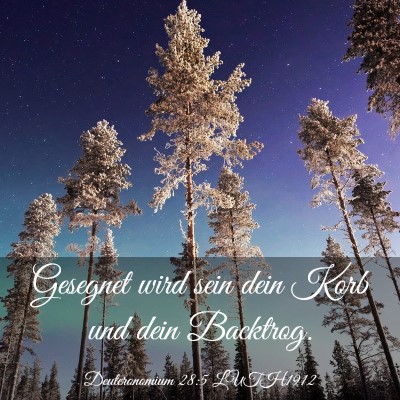 Picture 03 - Deuteronomium 28:5 LUTH1912 - Gesegnet wird sein dein Korb und dein - Bible Verse Picture