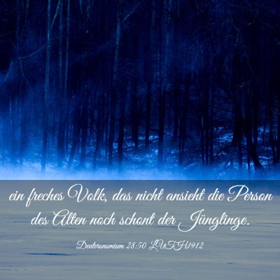 Picture 03 - Deuteronomium 28:50 LUTH1912 - ein freches Volk, das nicht ansieht die Person - Bible Verse Picture