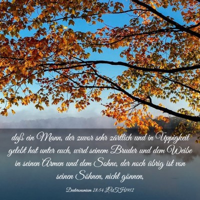 Picture 03 - Deuteronomium 28:54 LUTH1912 - daß ein Mann, der zuvor sehr zärtlich und in - Bible Verse Picture