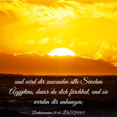 Picture 03 - Deuteronomium 28:60 LUTH1912 - und wird dir zuwenden alle Seuchen Ägyptens, - Bible Verse Picture