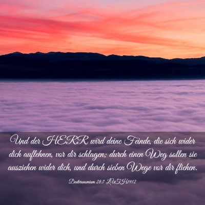 Picture 03 - Deuteronomium 28:7 LUTH1912 - Und der HERR wird deine Feinde, die sich wider - Bible Verse Picture