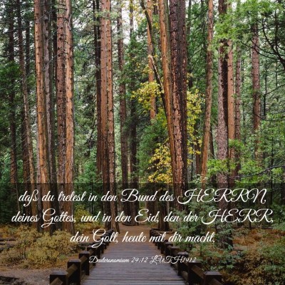 Picture 03 - Deuteronomium 29:12 LUTH1912 - daß du tretest in den Bund des HERRN, deines - Bible Verse Picture