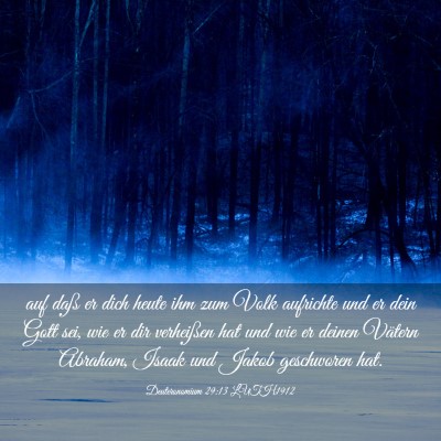 Picture 03 - Deuteronomium 29:13 LUTH1912 - auf daß er dich heute ihm zum Volk aufrichte und - Bible Verse Picture