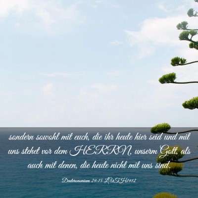 Picture 03 - Deuteronomium 29:15 LUTH1912 - sondern sowohl mit euch, die ihr heute hier seid - Bible Verse Picture