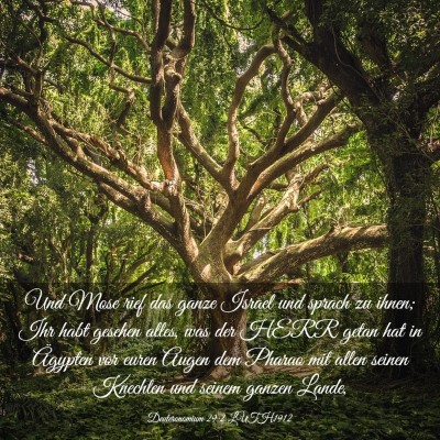 Picture 03 - Deuteronomium 29:2 LUTH1912 - Und Mose rief das ganze Israel und sprach zu - Bible Verse Picture