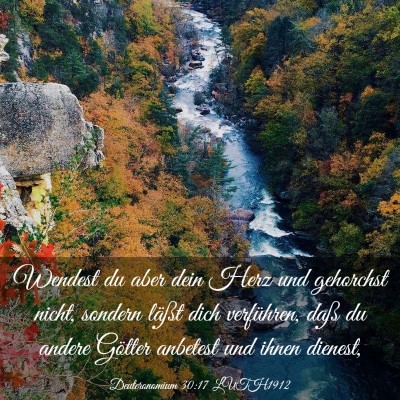 Picture 03 - Deuteronomium 30:17 LUTH1912 - Wendest du aber dein Herz und gehorchst nicht, - Bible Verse Picture