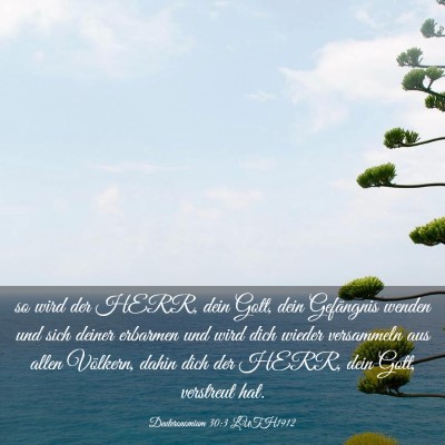 Picture 03 - Deuteronomium 30:3 LUTH1912 - so wird der HERR, dein Gott, dein Gefängnis - Bible Verse Picture