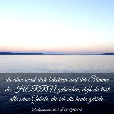 Picture 03 - Deuteronomium 30:8 LUTH1912 - du aber wirst dich bekehren und der Stimme des - Bible Verse Picture