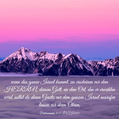 Picture 03 - Deuteronomium 31:11 LUTH1912 - wenn das ganze Israel kommt, zu erscheinen vor - Bible Verse Picture