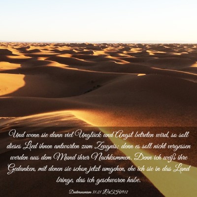 Picture 03 - Deuteronomium 31:21 LUTH1912 - Und wenn sie dann viel Unglück und Angst - Bible Verse Picture