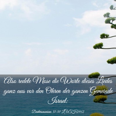 Picture 03 - Deuteronomium 31:30 LUTH1912 - Also redete Mose die Worte dieses Liedes ganz aus - Bible Verse Picture