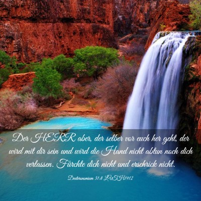 Picture 03 - Deuteronomium 31:8 LUTH1912 - Der HERR aber, der selber vor euch her geht, der - Bible Verse Picture